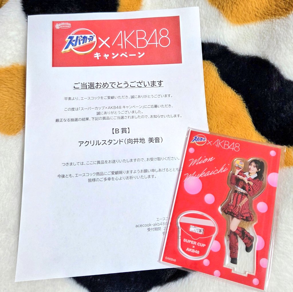 スーパーカップ×AKB48 向井地美音さん アクリルスタンド - メルカリ