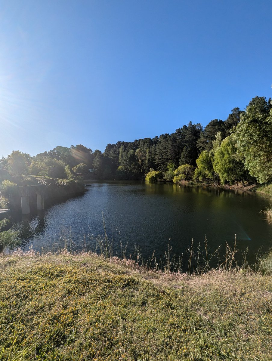 Cat 🐾 tweet media