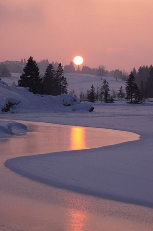 pseamon's tweet image. 友達との約束時間間違えて焦った
セーフ 🐨