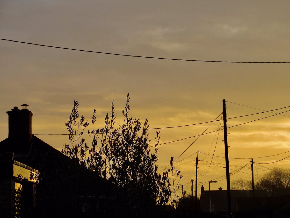 4.4°c at sunrise this morning from Waterbeach…<a href="/StormHour/">#StormHour</a>