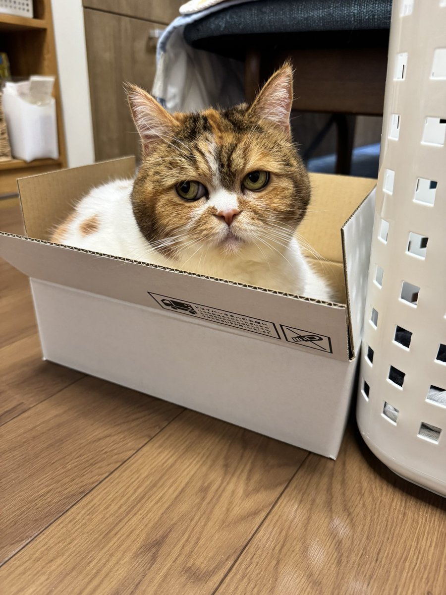 JZ5 (@jz5) / Posts / X