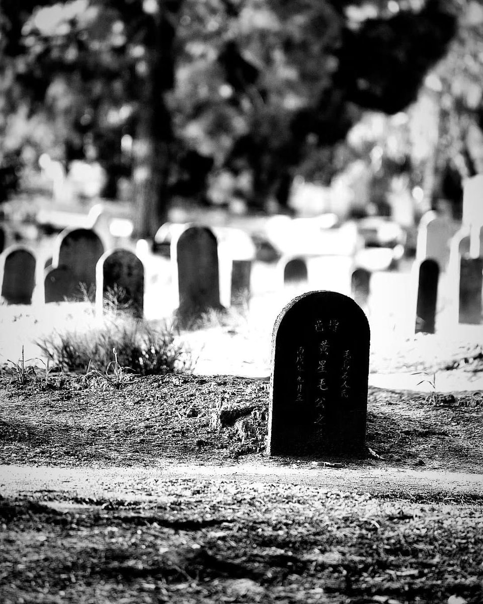 Kinaryoe's tweet image. ㅤ 
Our kind of usual date, i guess? 
Nevertheless, hope you enjoy Jakarta!

( @LUClSCURA ) 
ㅤ