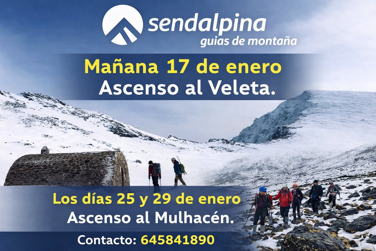 Sendalpina tweet media