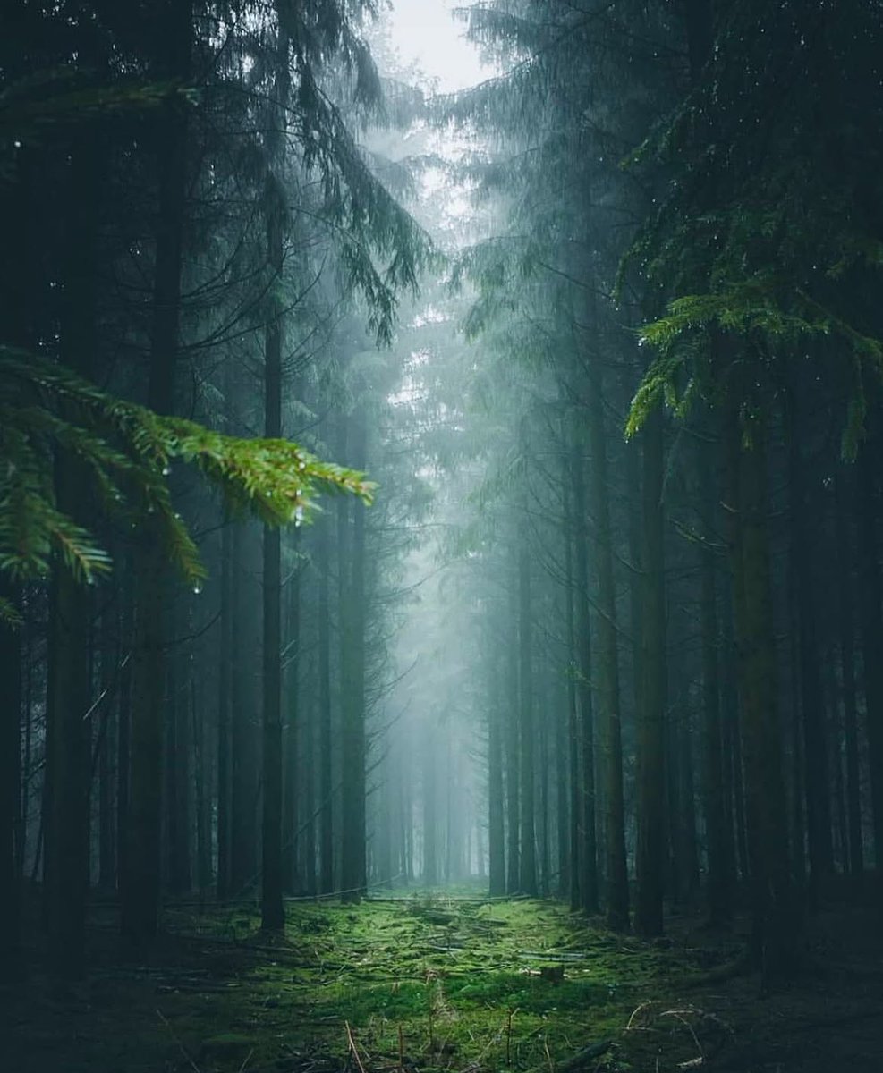 after the rain 🌧️