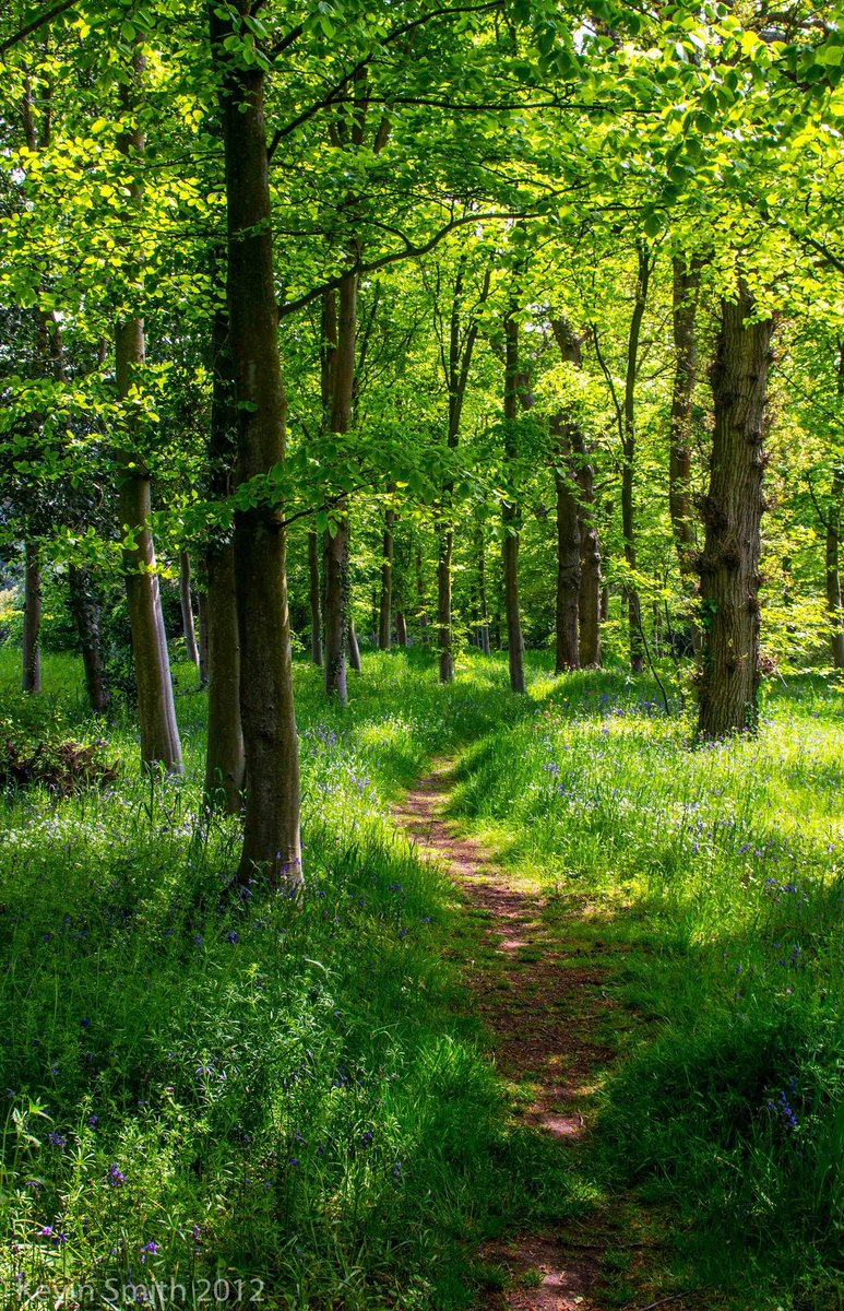 LunsmannWalter's tweet image. また雨降ってきて洗濯物が乾かない 🧝