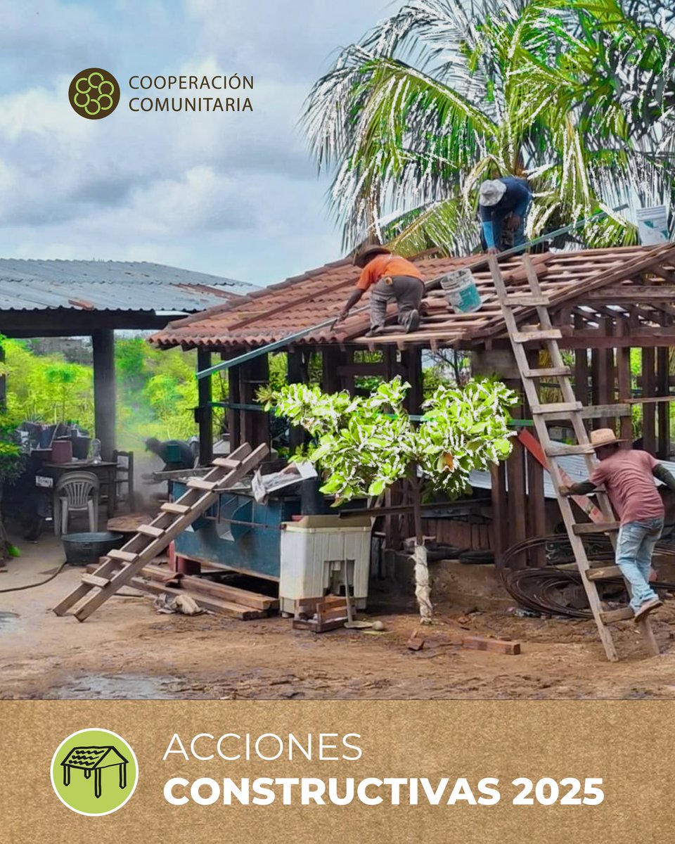 #NaturalezaAristegui ♻️ | Un modelo de reconstrucción comunitaria basado en técnicas tradicionales mejoradas demostró su eficacia ante el movimiento telúrico de magnitud 6.5 que sacudió la costa de Guerrero el pasado 2 de enero.
ow.ly/xWoy50XY1gm