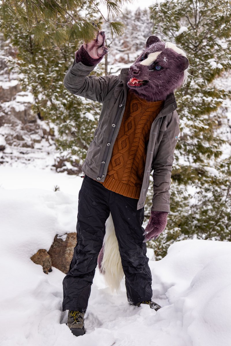 Time to go commune with the trees down at MidWinter Frolic.

🧵 <a href="/ZulayaWolf/">Melissa Mendelson Art</a> 
📷 <a href="/Zeezdragon/">Big bloo snoot! (Zeezy)</a> 

#FursuitFriday