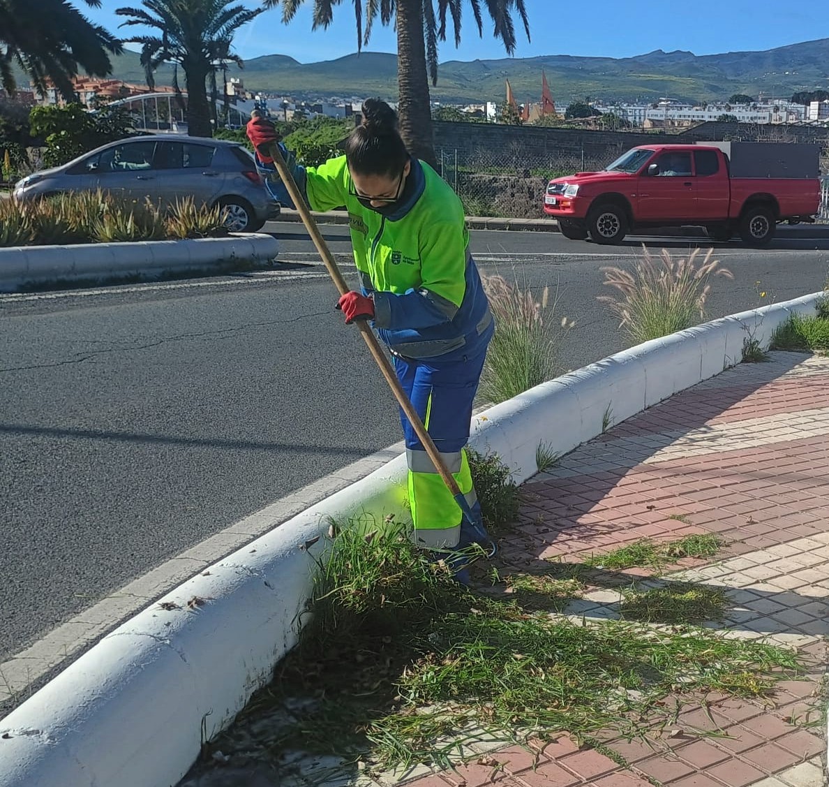 Finalizamos la semana con trabajos de deshierbe en la calle Montiano Placeres.📍

Estas labores son fundamentales para evitar la proliferación de plagas y la acumulación de basura en estas zonas.🌿

#reciclaje #limpiezaviaria