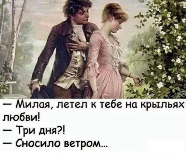 AlexeyNemo's tweet image. 🤣