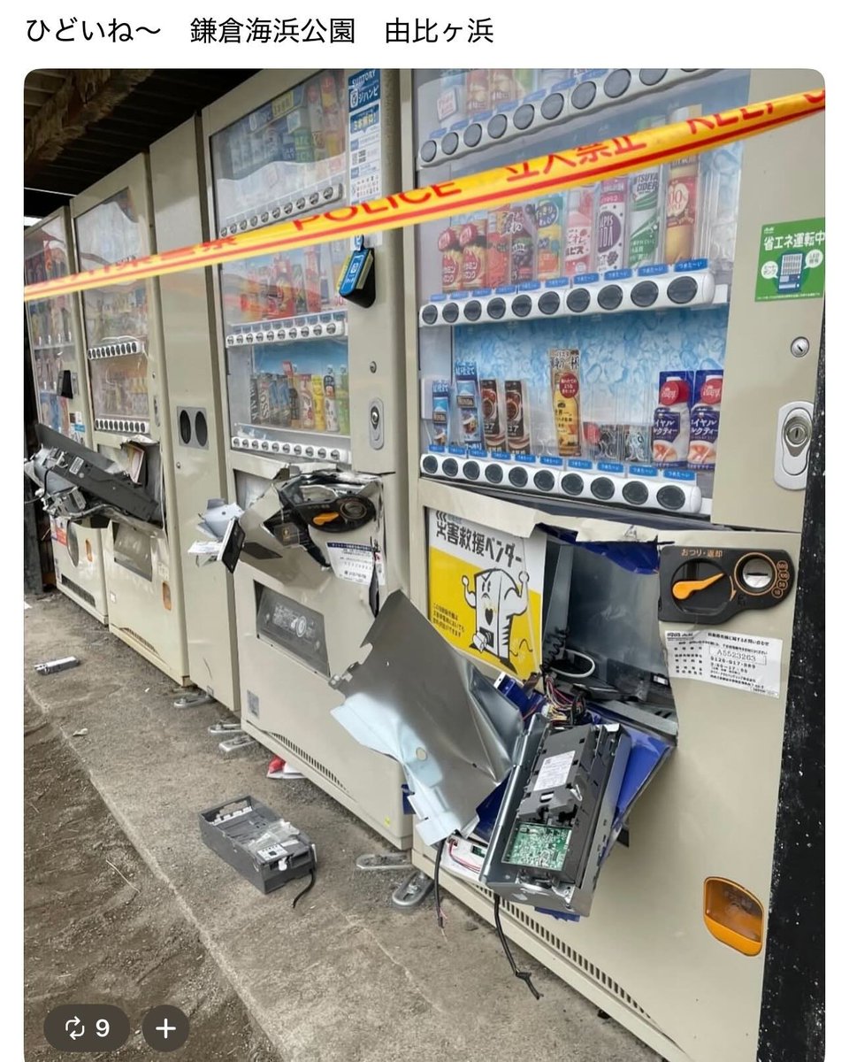 War Doll tweet media