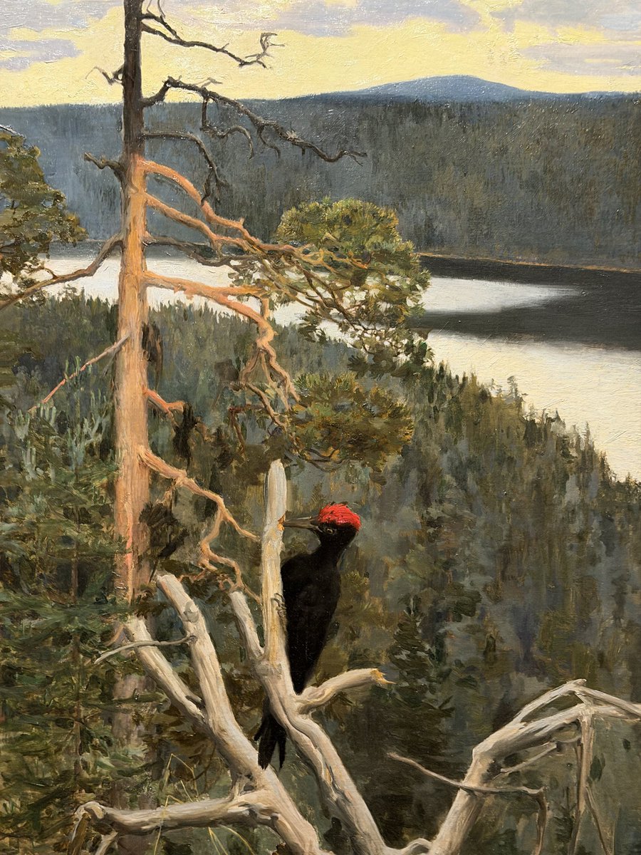 binnie's tweet image. pekka halonen : patriotisme et écologie, paysages hivernaux, stalactites, verglas, ciels menthe, rapides, amas neigeux, pseudo pistes de ski, pins et bouleaux