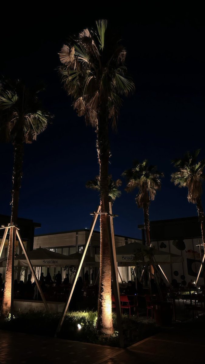 ᅠ  ᅠ 

صحيح الخطأ وارد لكن الأسف مطلوب
ماهو عيب لا زليت ثم جيت متأسف 

لكن لا تحاول تلبس الثوب بالمقلوب 
تزيد الخطأ بعناد و تصير متحسف

 ᅠ  ᅠ