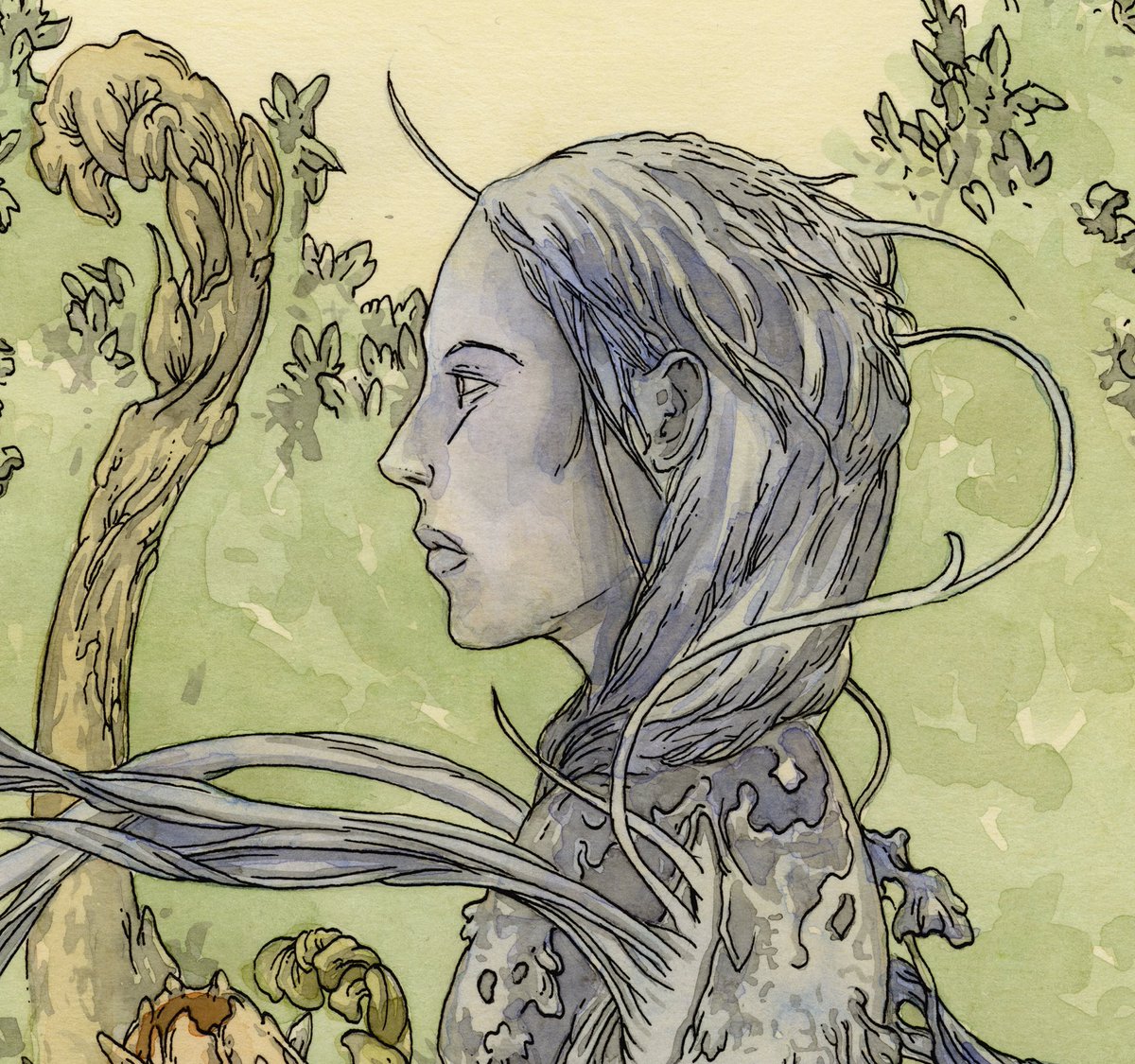 Lost_Machine's tweet image. Happy Friday, friends! Here is a new ink and watercolour piece called “The Witch’s Garden,” 12” x 9.” Watercourse tends to suffer a bit in the image compression, so I’ve added a couple of details.