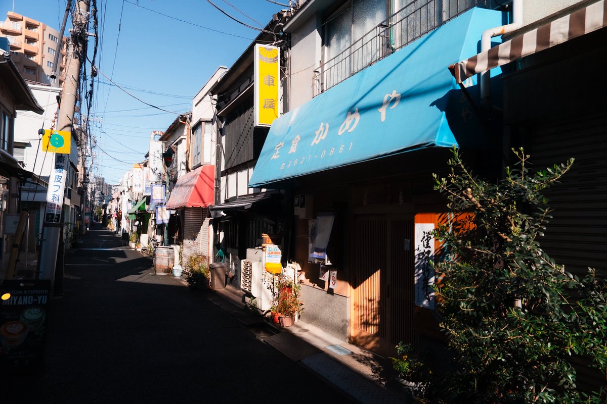 emmards's tweet image. Today's journal 📓