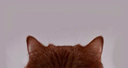 possuodepressao's tweet image. 