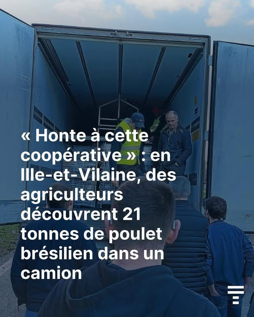 bloquonstout's tweet image. 😡🚨 DEMAIN, C’EST ÇA QU’ON VA BOUFFER ?

En Ille-et-Vilaine, des agriculteurs ont découvert 21 tonnes de poulet brésilien dans un camion.

Et demain, avec le Mercosur, ce sera la norme.

➡️ Du poulet importé.
➡️ Des standards qui ne sont pas les nôtres.
➡️ Une concurrence…