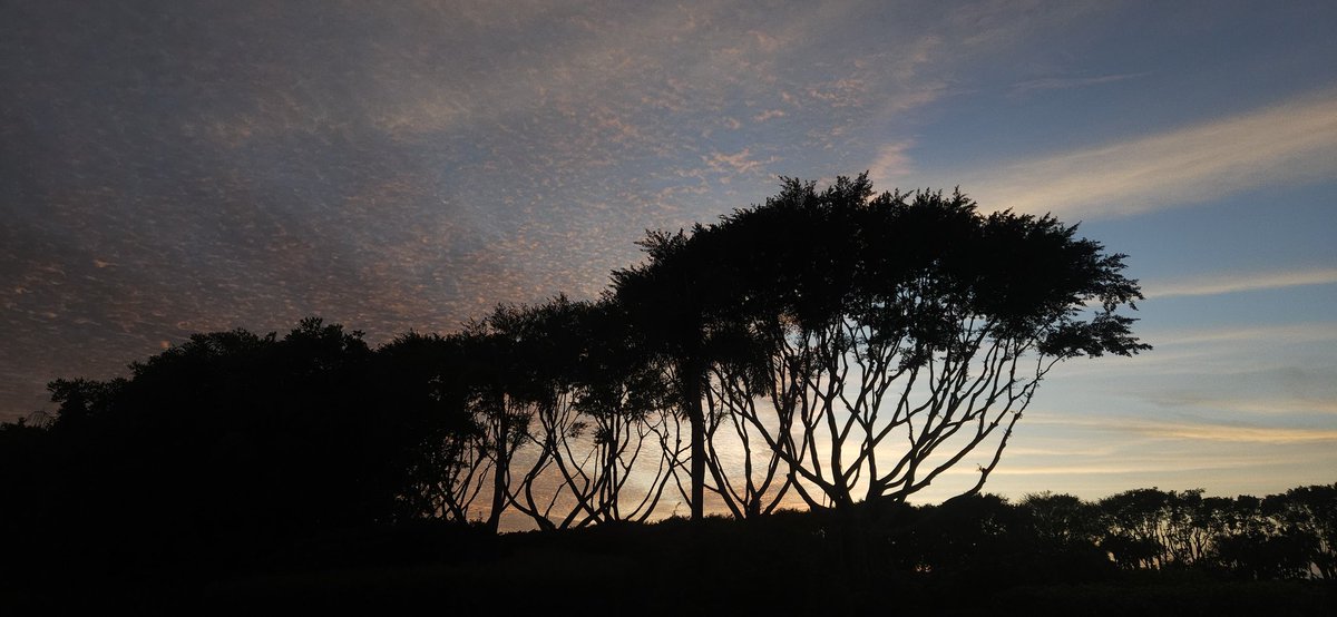 Brian Beard tweet media