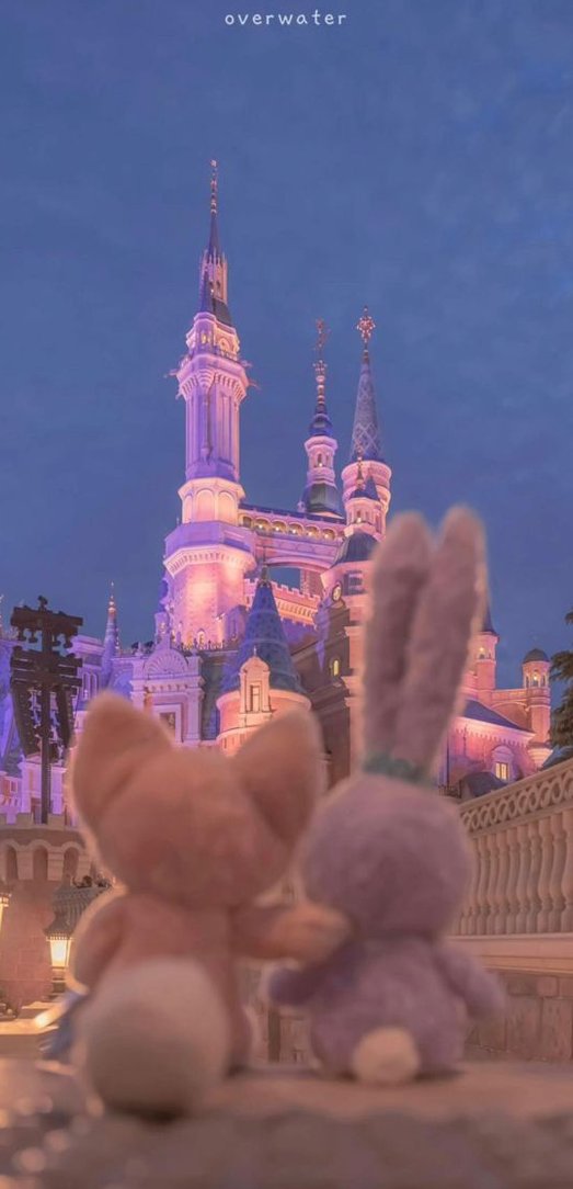 devilsowns's tweet image. 今月の光熱費が1万円超えてて節約しないとマズい 🦢