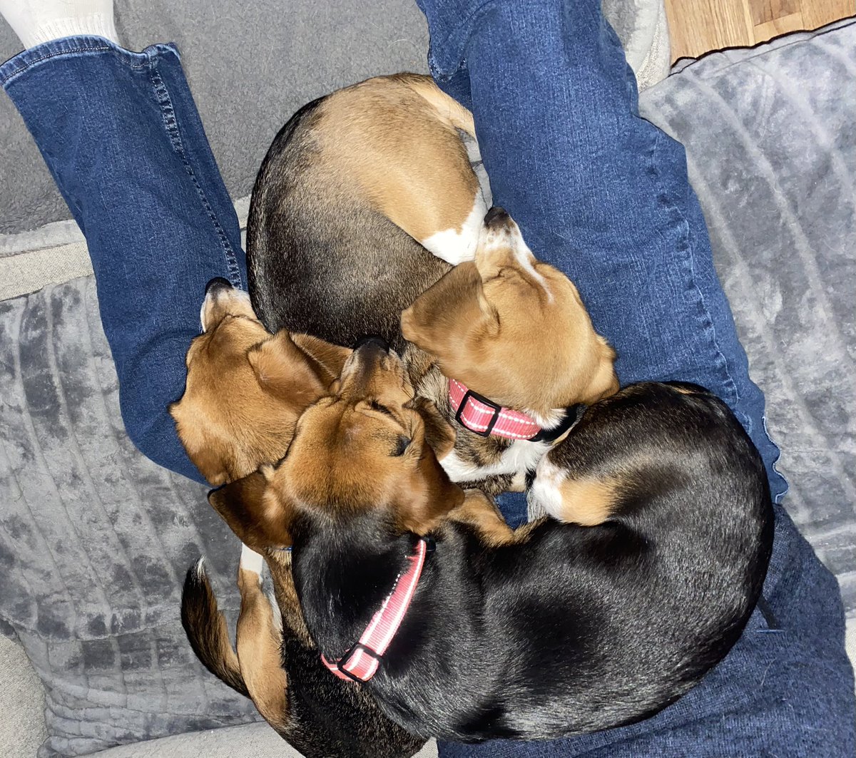 My husband before work every morning