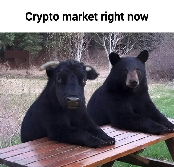The crypto market right now.

Who knows what season we are in,  bull or bear season? 😁😁

#CryptoCommunity 
#CryptoNews