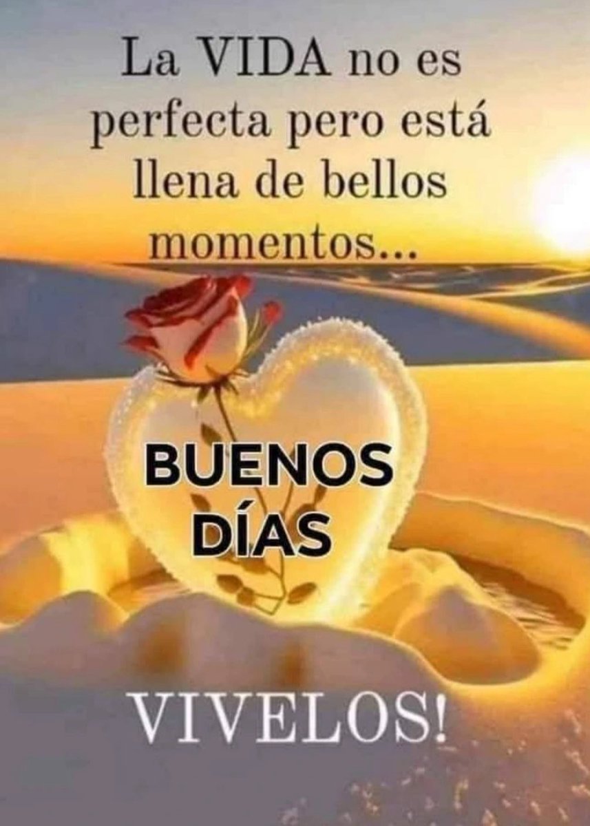 Silvia..🇸🇻💙 tweet media