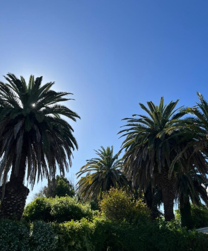 Cómo estará el clima en el AMBA este viernes 16 de enero
sinfiltro.ar/como-estara-el…