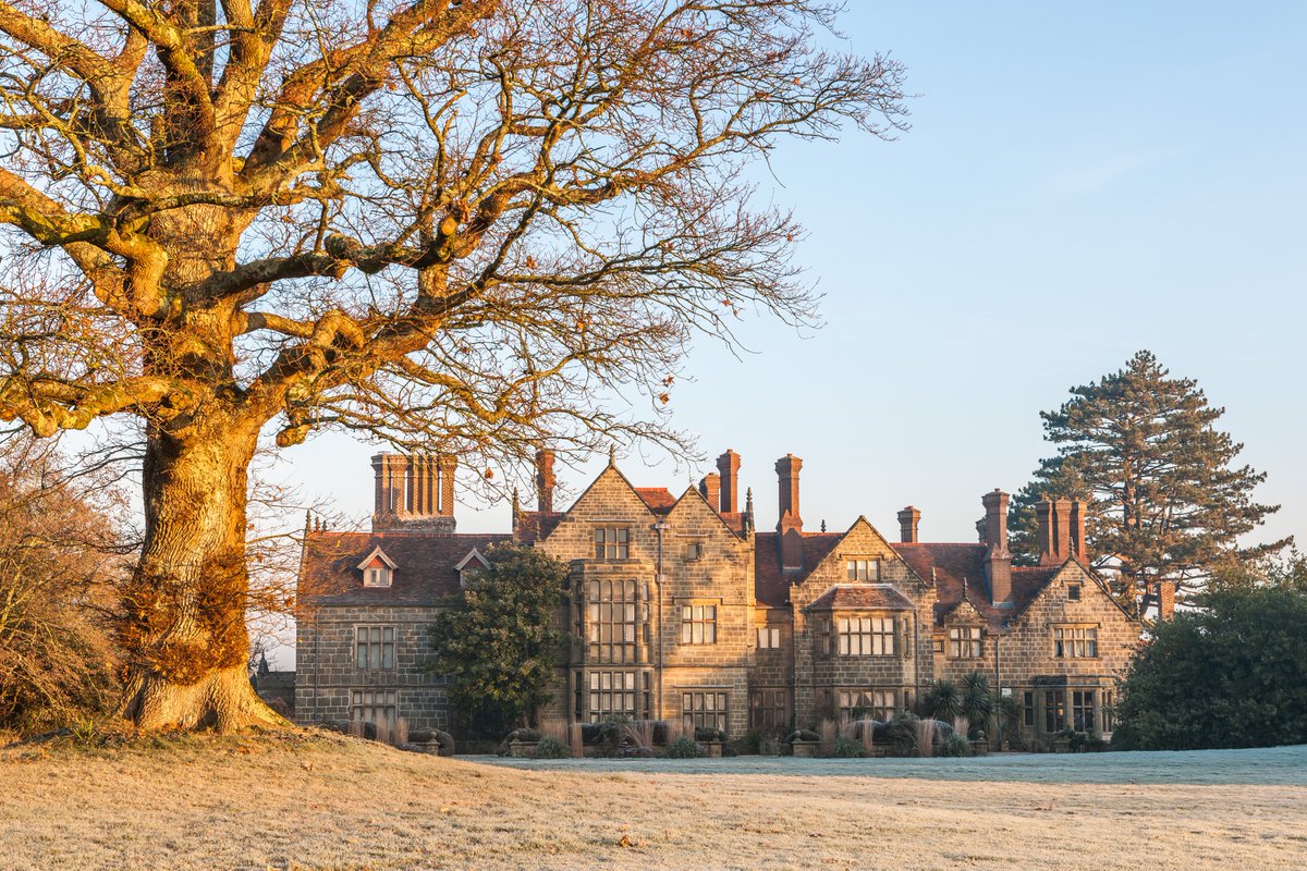 Today is Blue Monday, but in the Garden blue tells a different story. It's the depth of a winter sky, the calm of cold air, and the patience of flowers waiting to bloom. Perhaps today can be an invitation to move slowly, reflect, and to look ahead with a sense of anticipation.