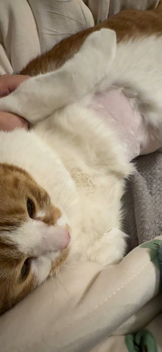 생닭……..ㅜㅜ
짜식 누나 걱정하게 하고 말이야