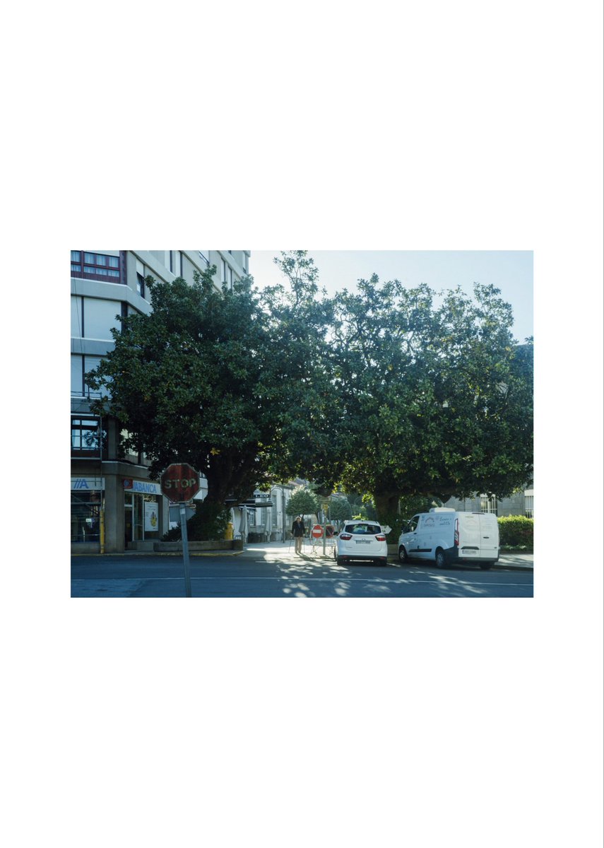 星野 慧 / Satoru Hoshino tweet media