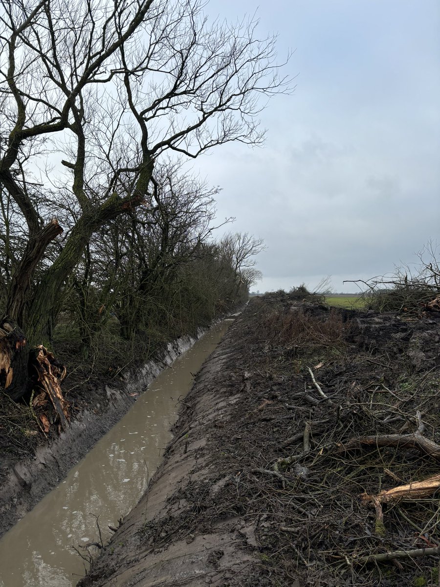 Will Kealey tweet media