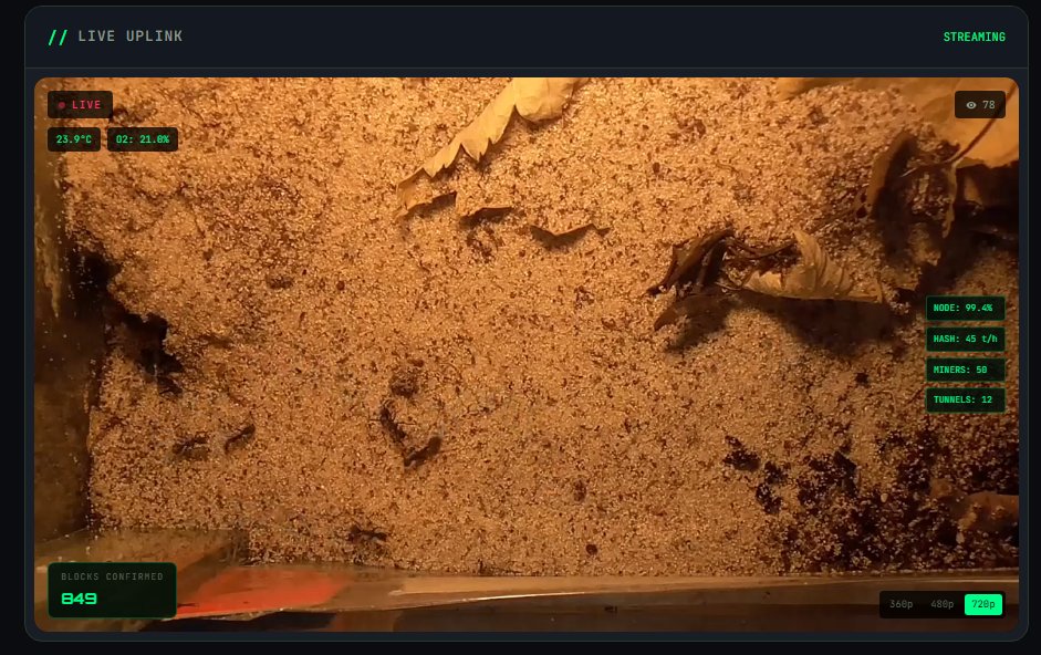 GM $ANT MINERS!

TOMATO IS AT 25M MC!!!

$ANT WILL BE ---> 1M TODAY!

CA: 9B6NuAPG6KEN8C9PHK43W9fFQXLvLc7FXrADJcx3pump
Watch Live: antminer.live