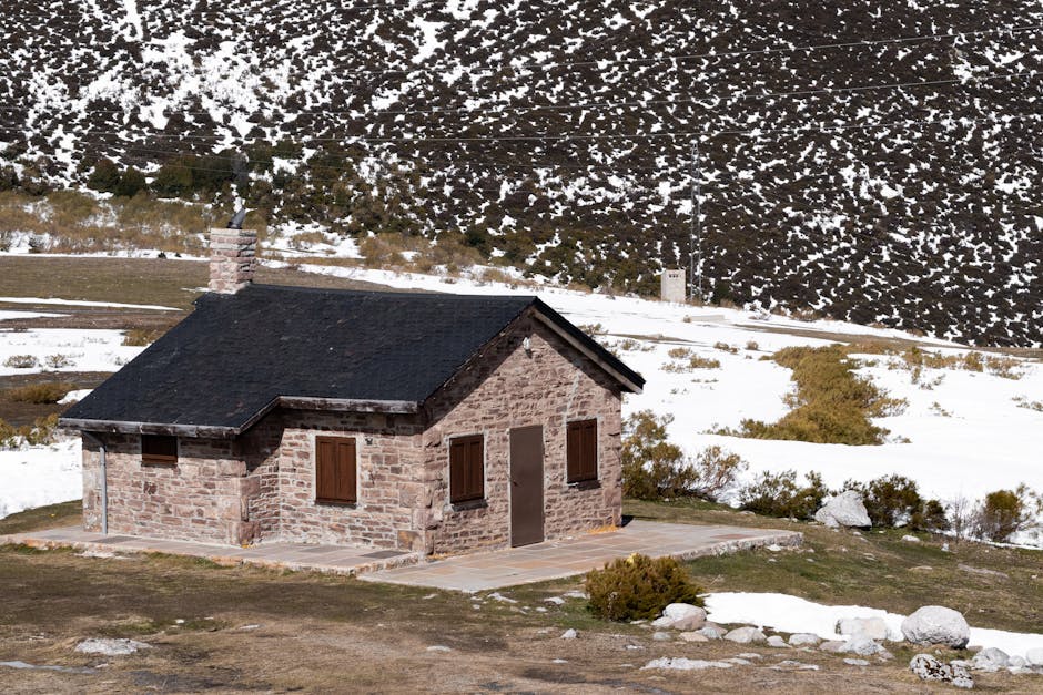 CycIaeFan tweet media