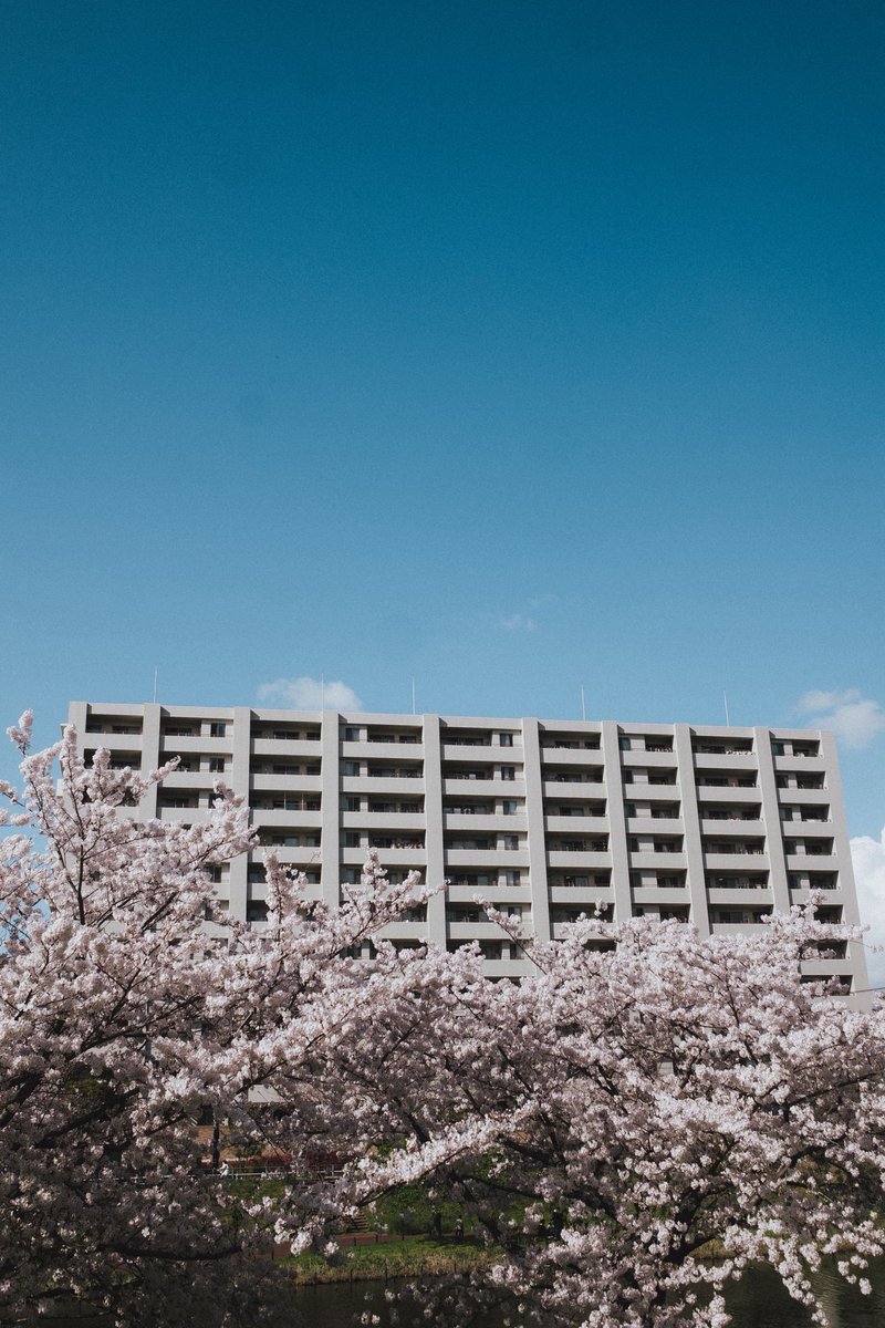 「春よまだかな〜」