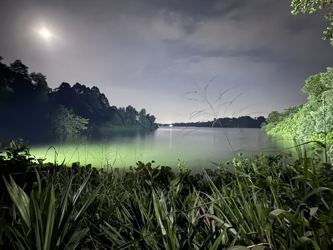 Abstract___or's tweet image. 사이의 뱀을 직접 보니 자연의 신비로움이 그대로 느껴졌답니다. 평화로운 호숫가 산책까지 더해져 마음이 참 풍요로워지는 저녁이에요.