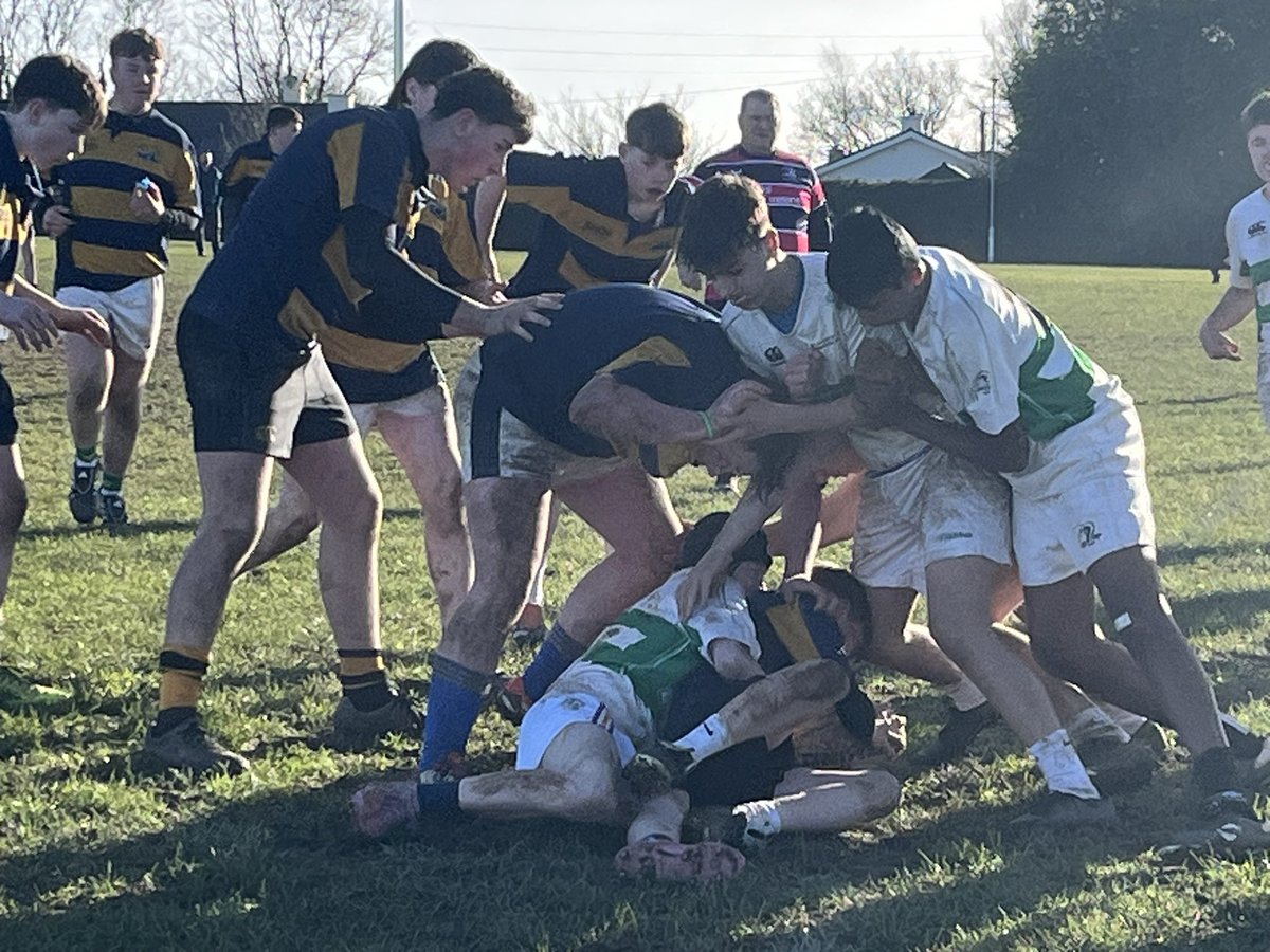 goreyCCRO tweet media