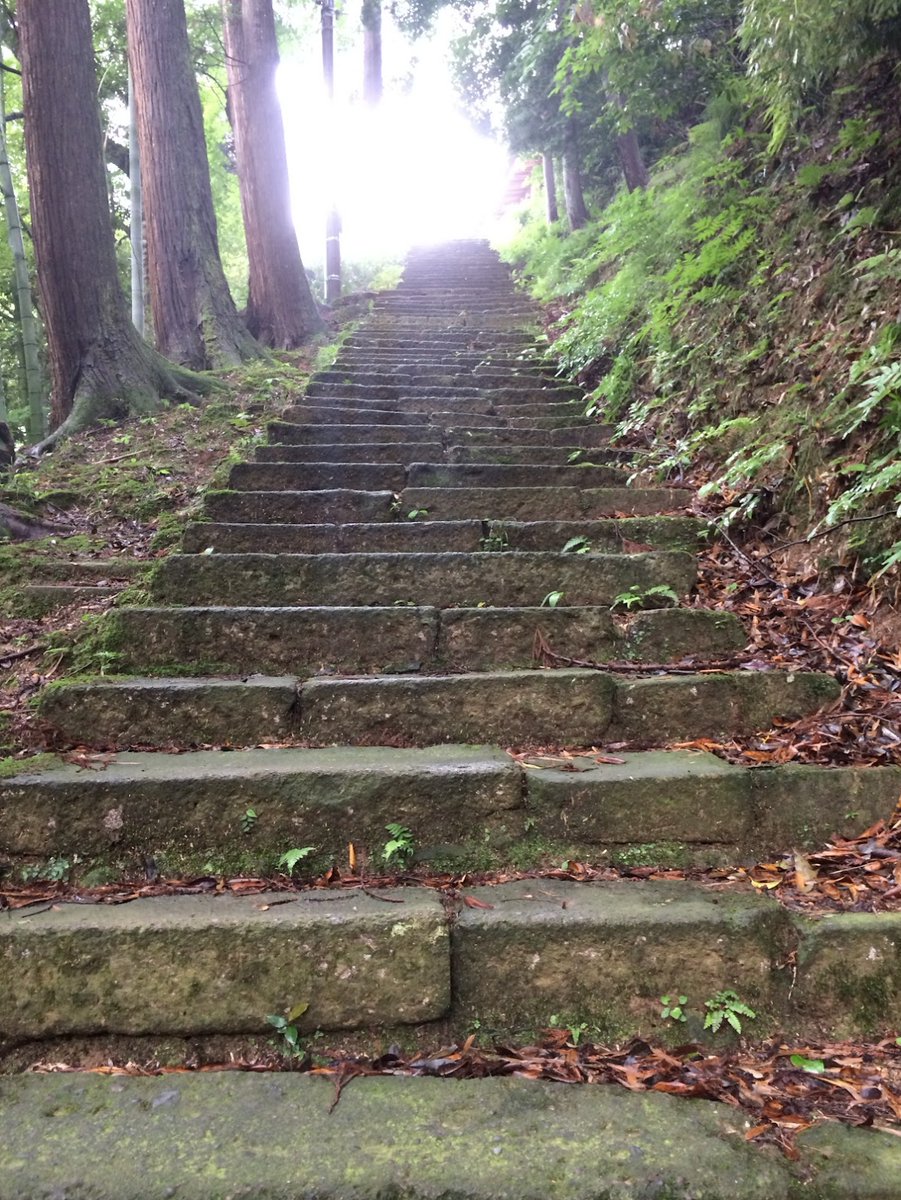 quark_group's tweet photo. 『Bridge』

大正十四年五月、城崎温泉街を巨大な地震が襲った。

「女が好きなだけ泣けるのは、赤子のうちだけ」

泣くことも怒ることもなく、足元に咲くスミレのように、ひっそりと、ただ懸命に生きてきた若女将のサヨ。
災禍の只中で気づいた、ほんとうの気持ちとは...
（西史夏） https://t.co/WQSMHeNGa0