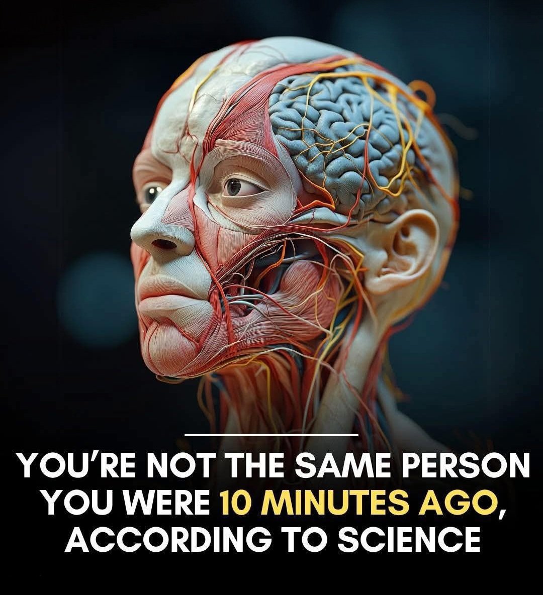Shining Science tweet media