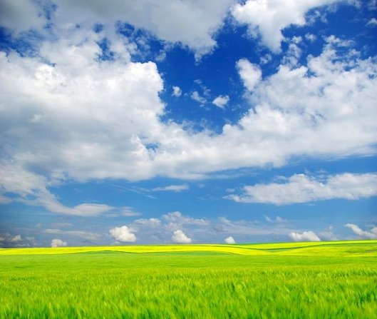 wright_sm's tweet image. 新しい靴下買ったら履き心地最高 😜