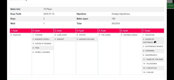 Bilo kardeşim plase antalya