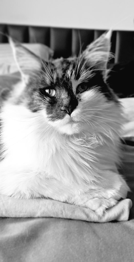 Roveroni's tweet image. Bom dia sexta-feira sua linda.