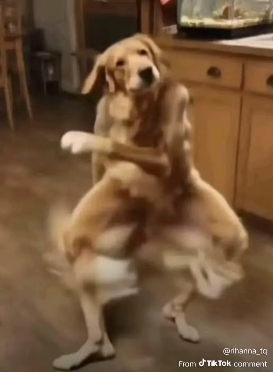 https_belejo's tweet image. i kind of hate you but
it doesn’t matter let me daaaaaance