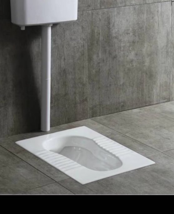 Every public place like malls should have squat toilets—they're more hygienic.
