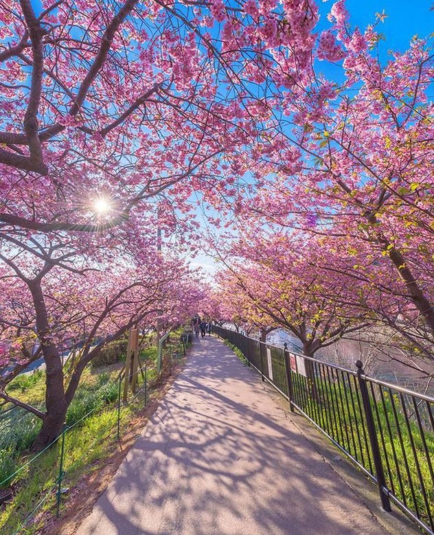 DNeevin's tweet image. スマホの充電ケーブルがまた断線した
使い方悪いのか品質の問題なのか 🪐