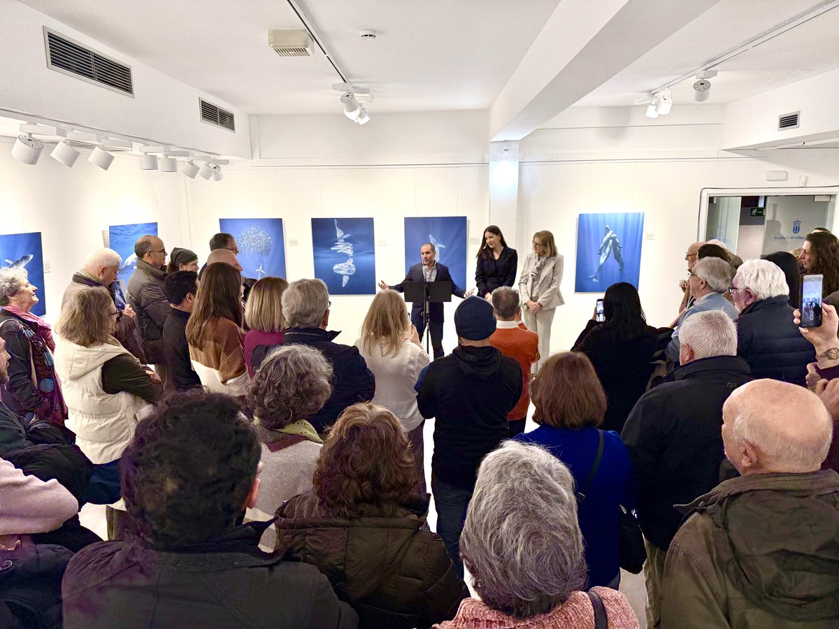 📸🐳¡Abierta al público la nueva exposición de Álvaro Herrero(Mekan Photography)!

💙“El Gran Azul” es una experiencia inmersiva de audio e imágenes para descubrir el mundo bajo el agua con el trabajo de este fotógrafo majariego premiado internacionalmente. 

Enhorabuena Álvaro☺️