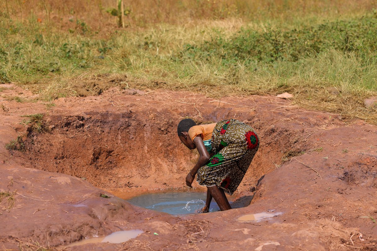 IOM Nigeria tweet media