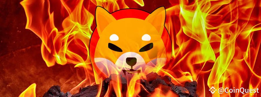 Retweet If you want Massive burn from $SHIB this week 👺✨