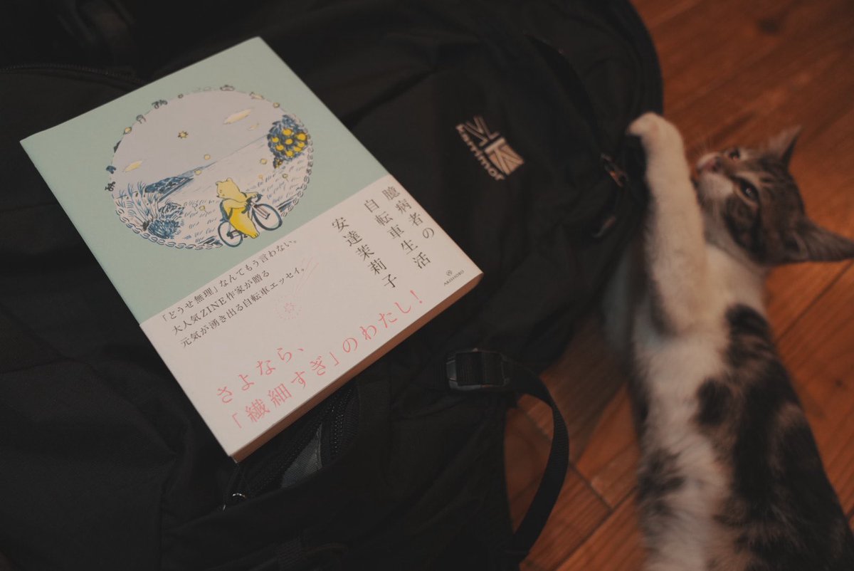 旅のお供に
安達茉莉子さんの
自転車エッセイ🚲３周目