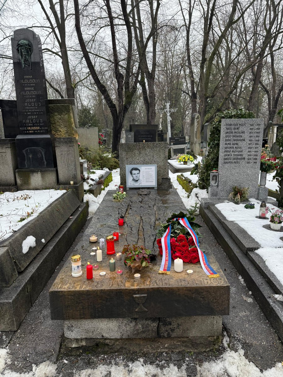 Robert Plaga tweet media