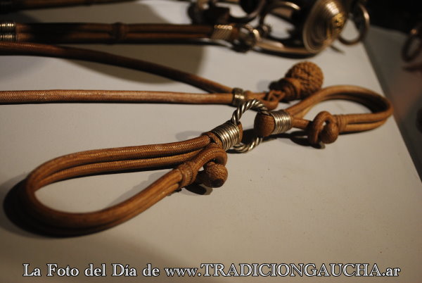 tradiciongaucha's tweet image. 📸 #FotoDelDía #Manea #Tradición 
TradicionGaucha.ar