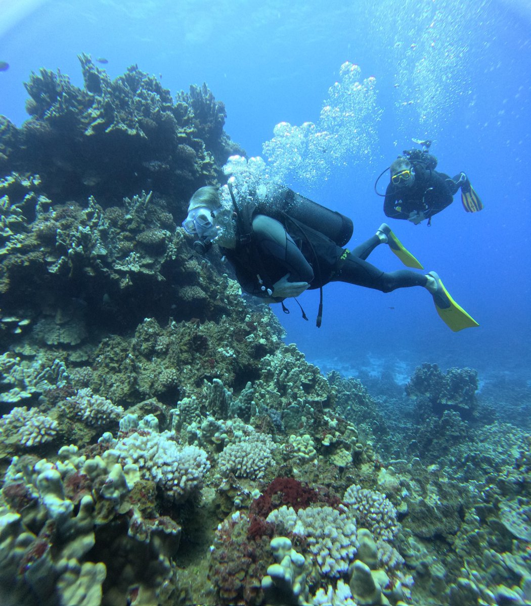 Bucket_ListCo's tweet photo. Scuba Diving, turtle spotting and lots of laughing (swipe to see Dave, our UK guide proving this)!

10 days into this trip of a lifetime, new experiences and new friends!

Click below to find out more about our Chile and Easter Island adventure.

https://t.co/UvfVCpPzpV https://t.co/HEbXTQG9yQ